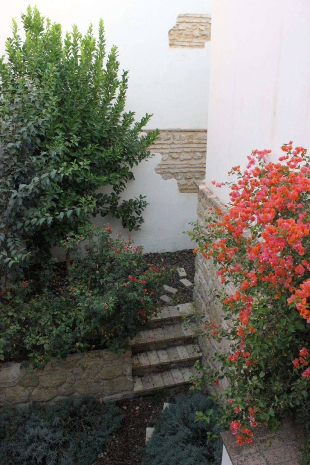 La Casa De La Escalera 1 Derecha Διαμέρισμα Κόρδοβα Εξωτερικό φωτογραφία